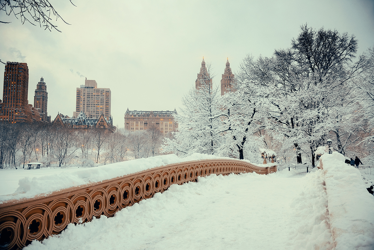 Central Park winter with Bow Bridge in midtown Manhattan, New York City