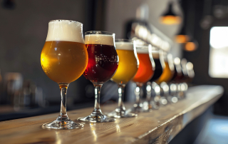 An Informative Guide for Every Beer Enthusiast